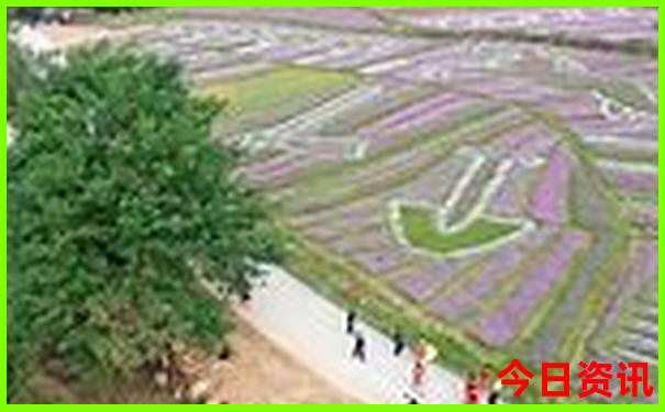 北京十大旅游景点有哪些